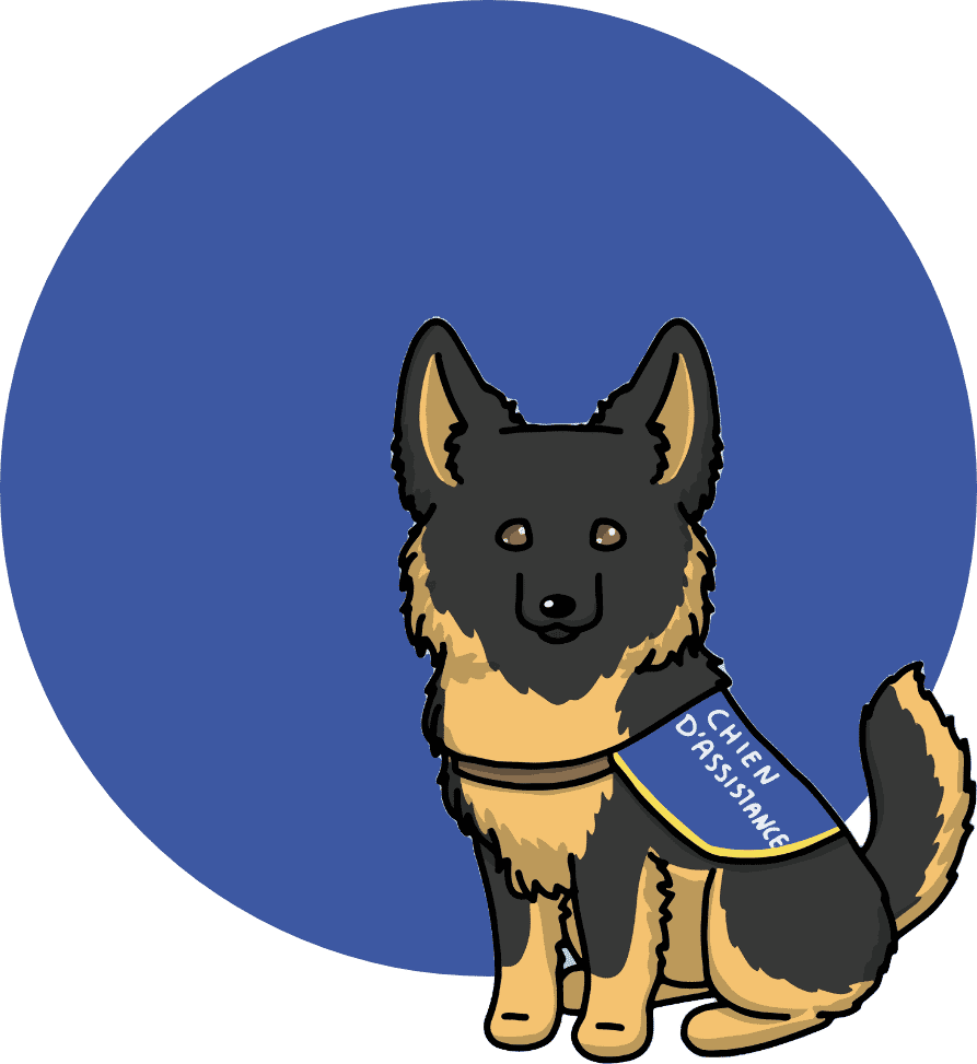 Illustration d'un chien guide