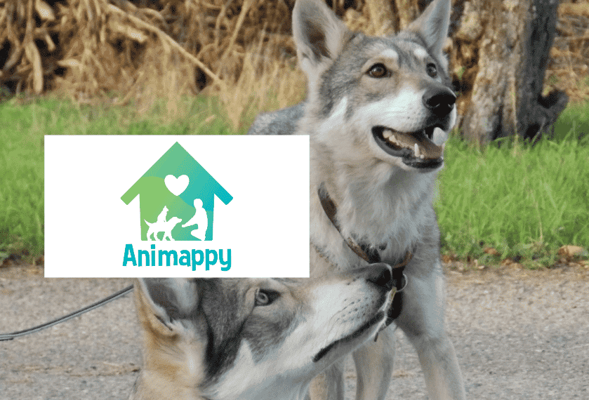 Animappy - Partenaire