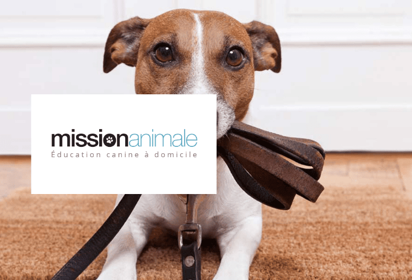 Mission Animale - Partenaire