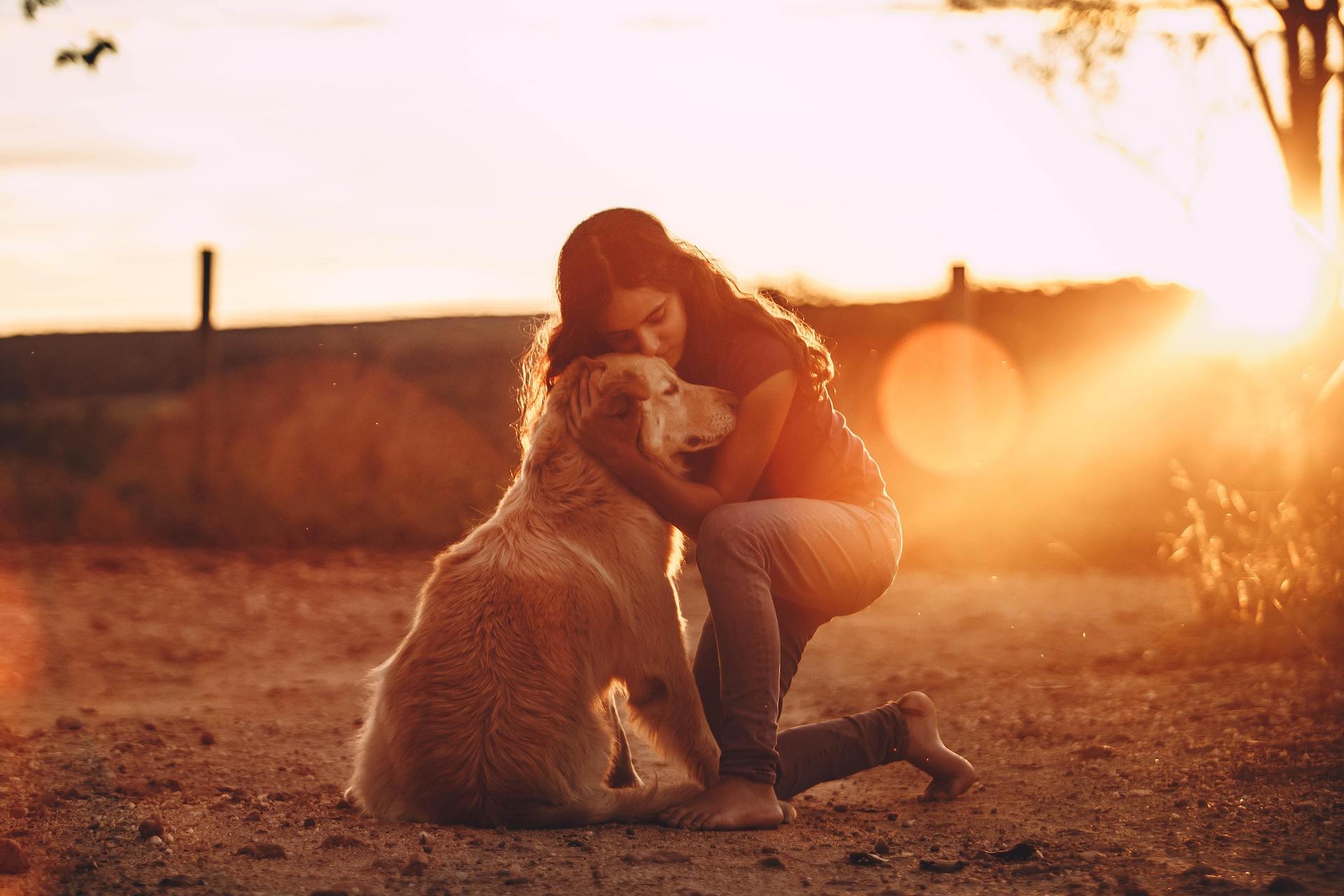 Photo d'un chien et de son maître au coucher du soleil