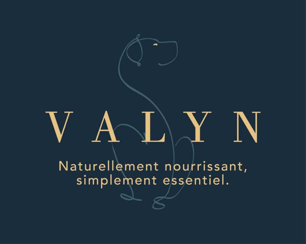 Logo valyn